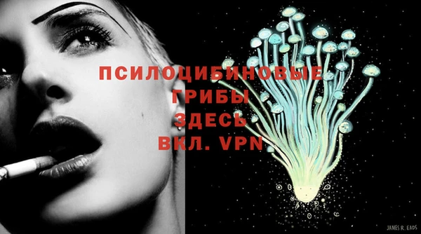 СК Алексеевка